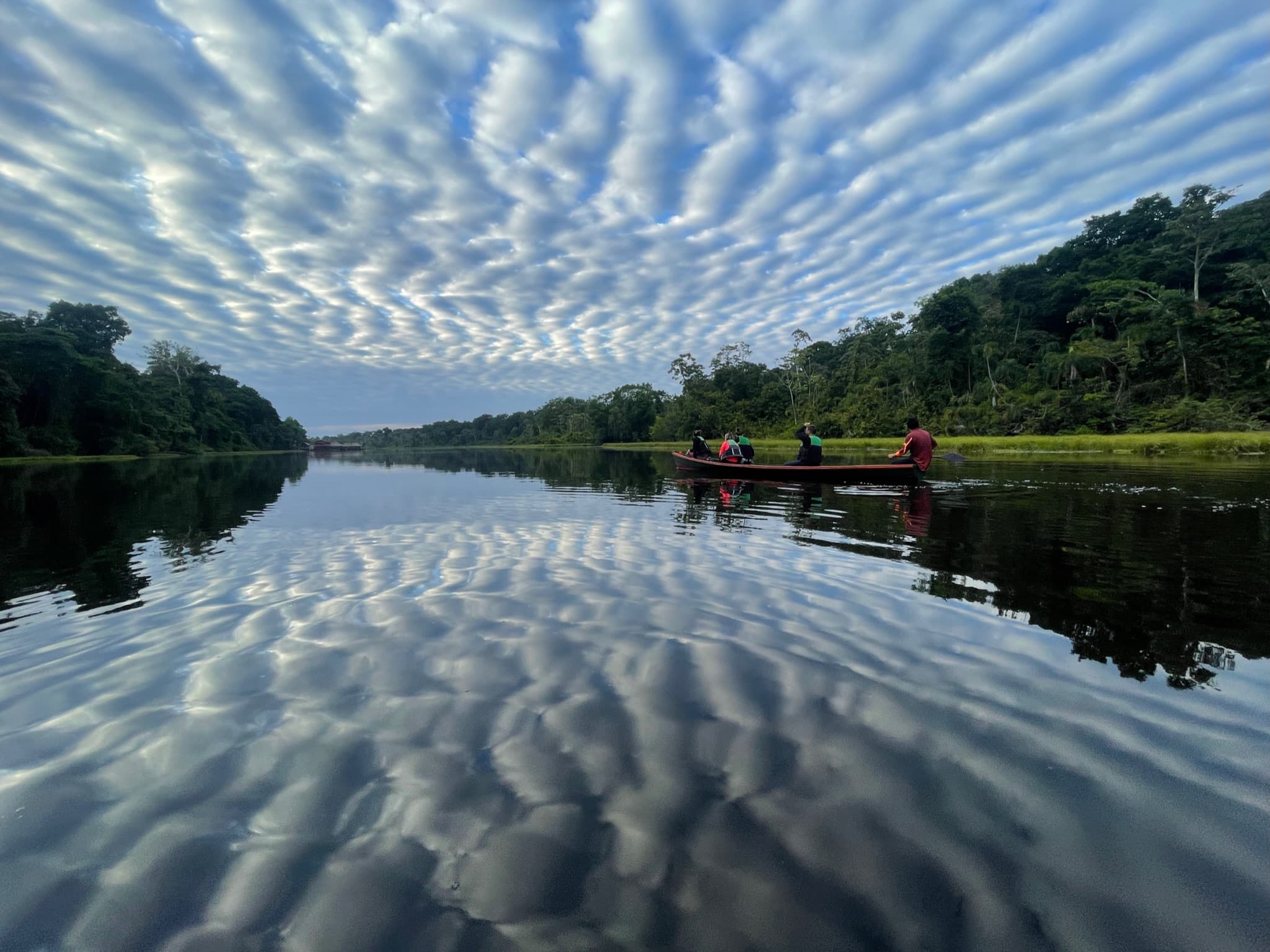 Magical Amazon