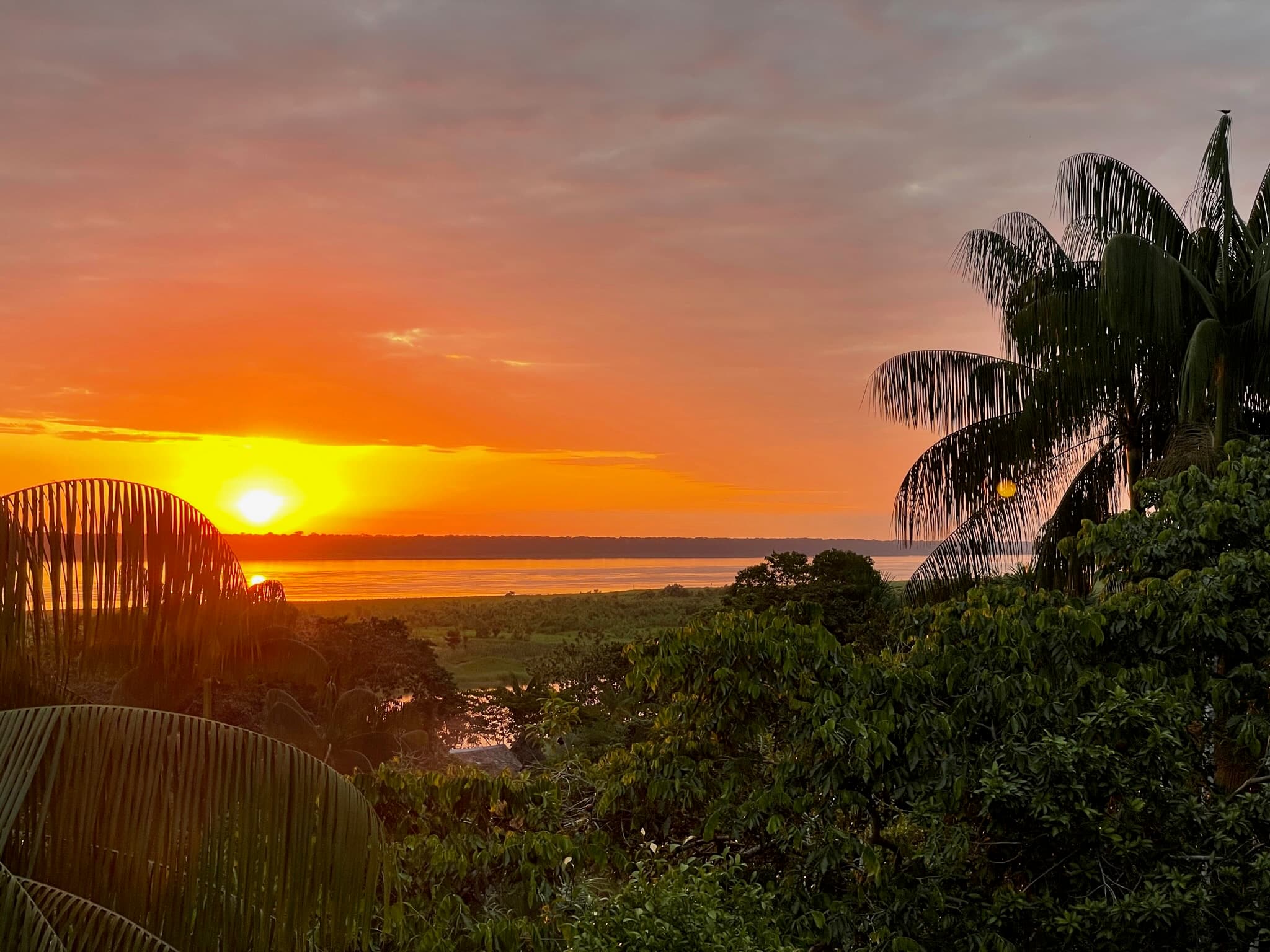 Magical Amazon