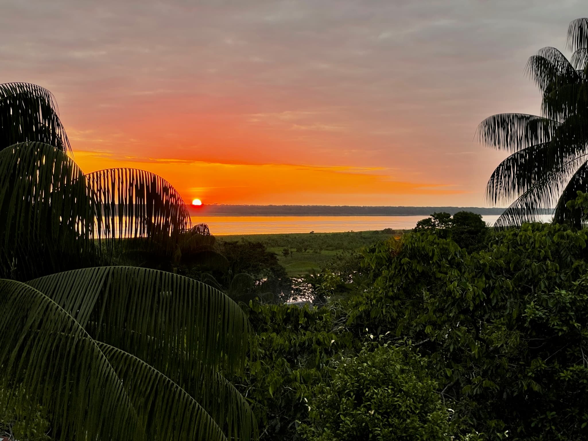 Magical Amazon
