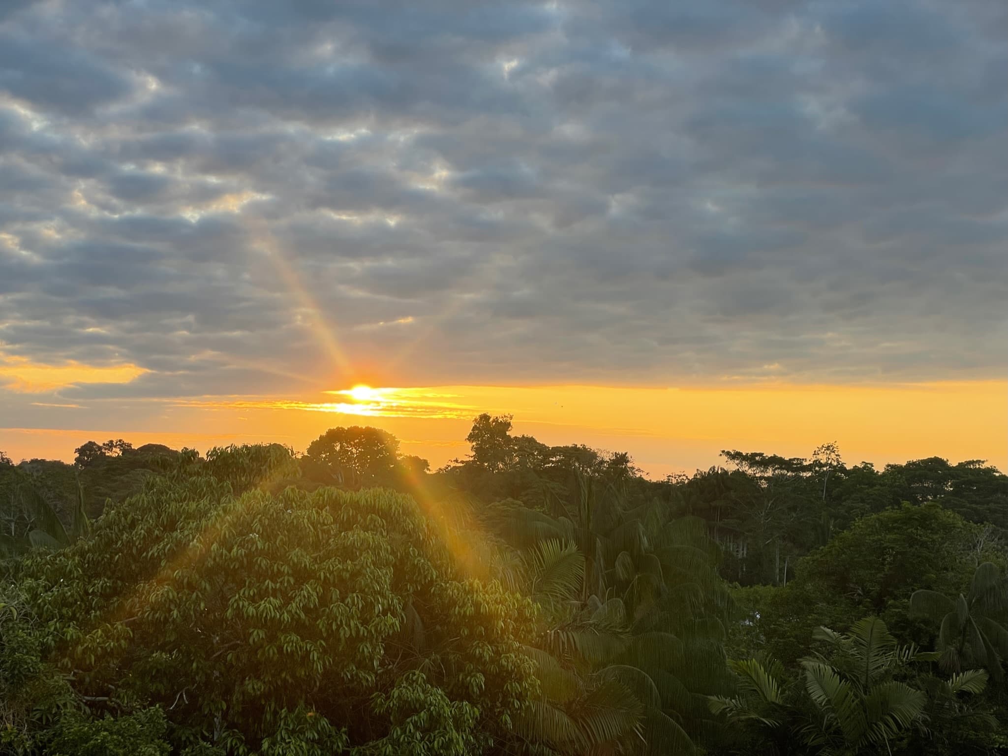 Magical Amazon