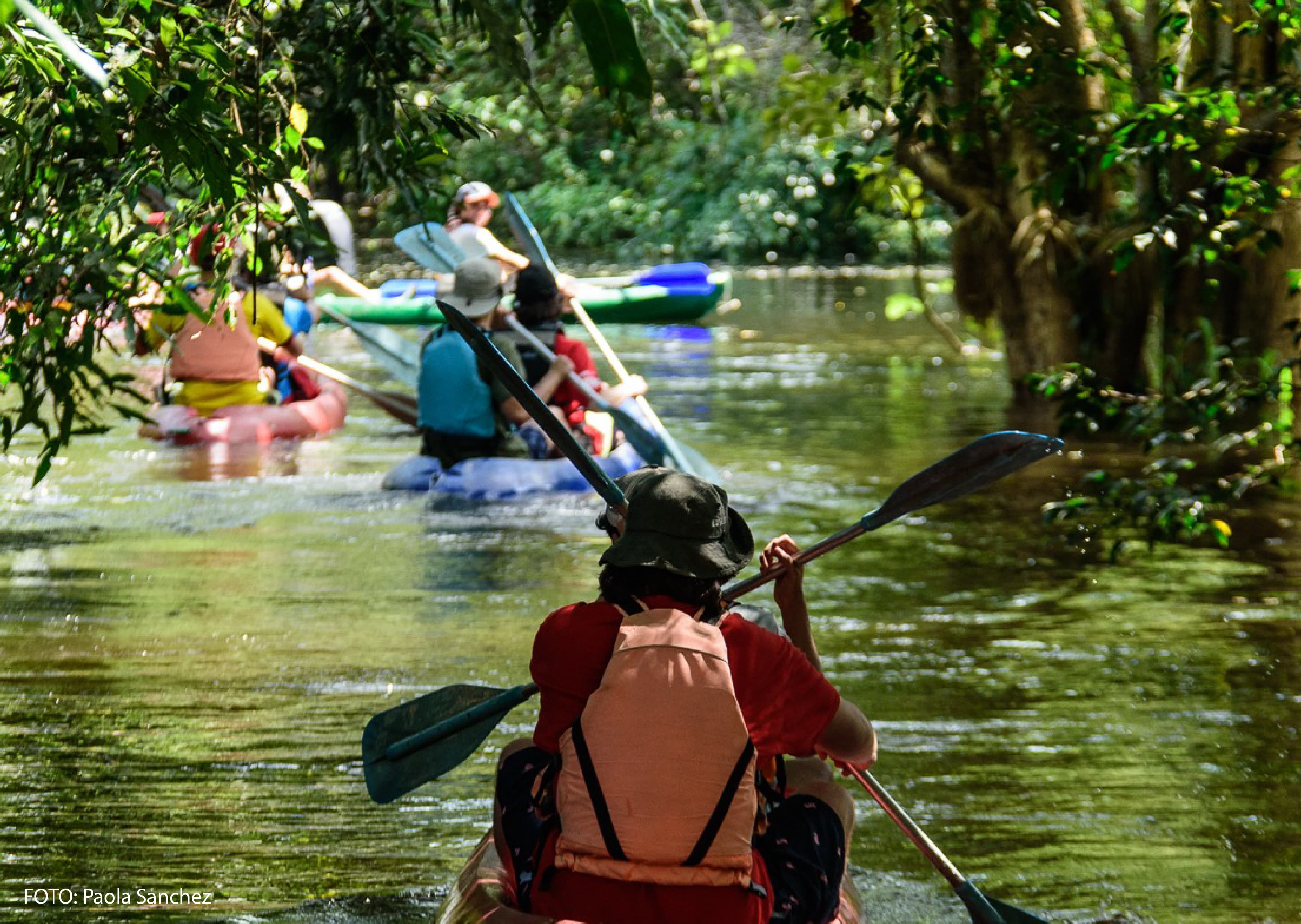Magical Amazon