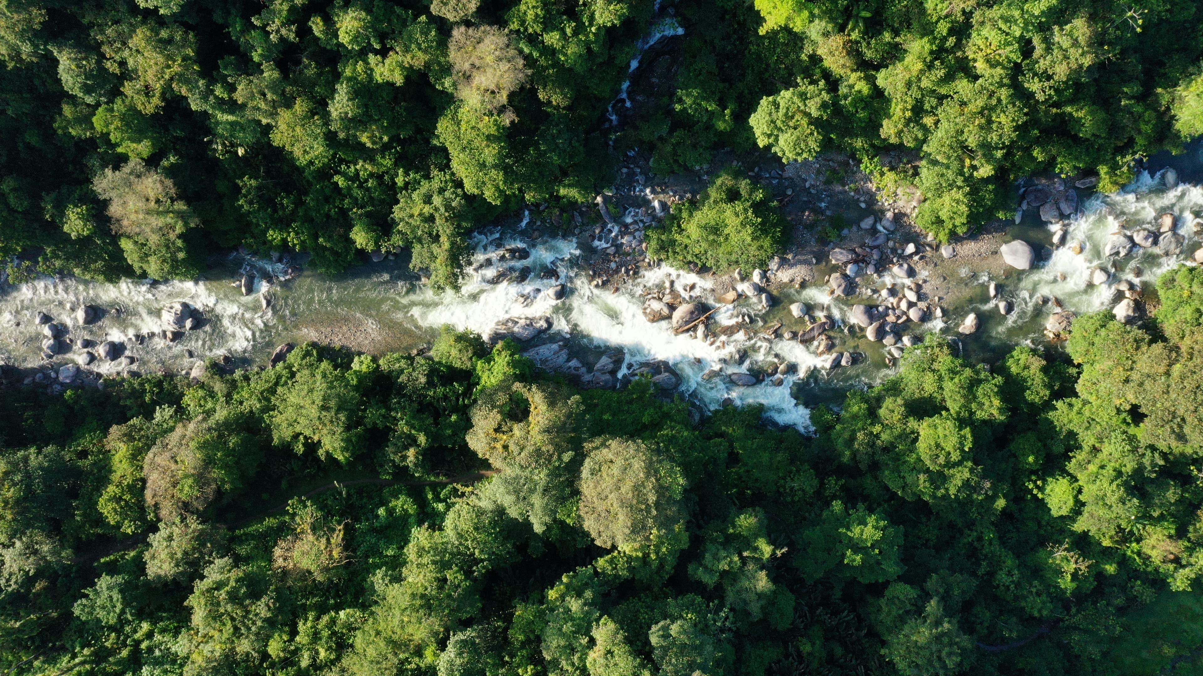 Ciudad Perdida Trek