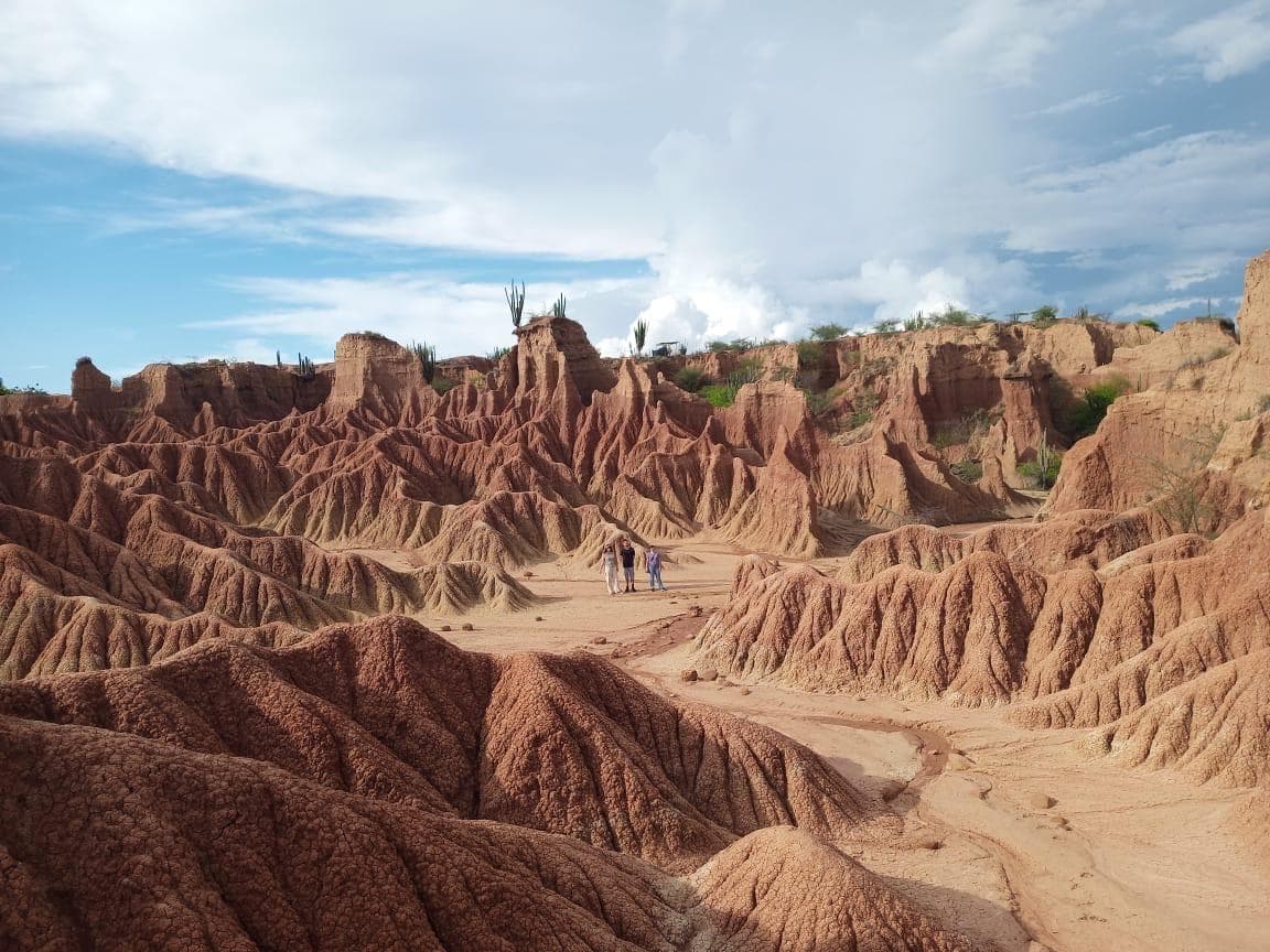 Estrellas del Desierto