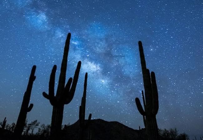 Estrellas del Desierto
