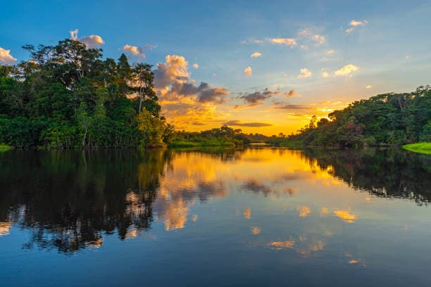 Magical Amazon