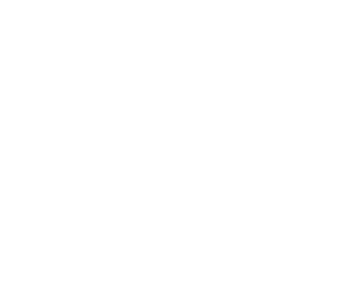 Partner logo 4