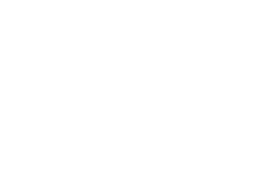 Partner logo 7