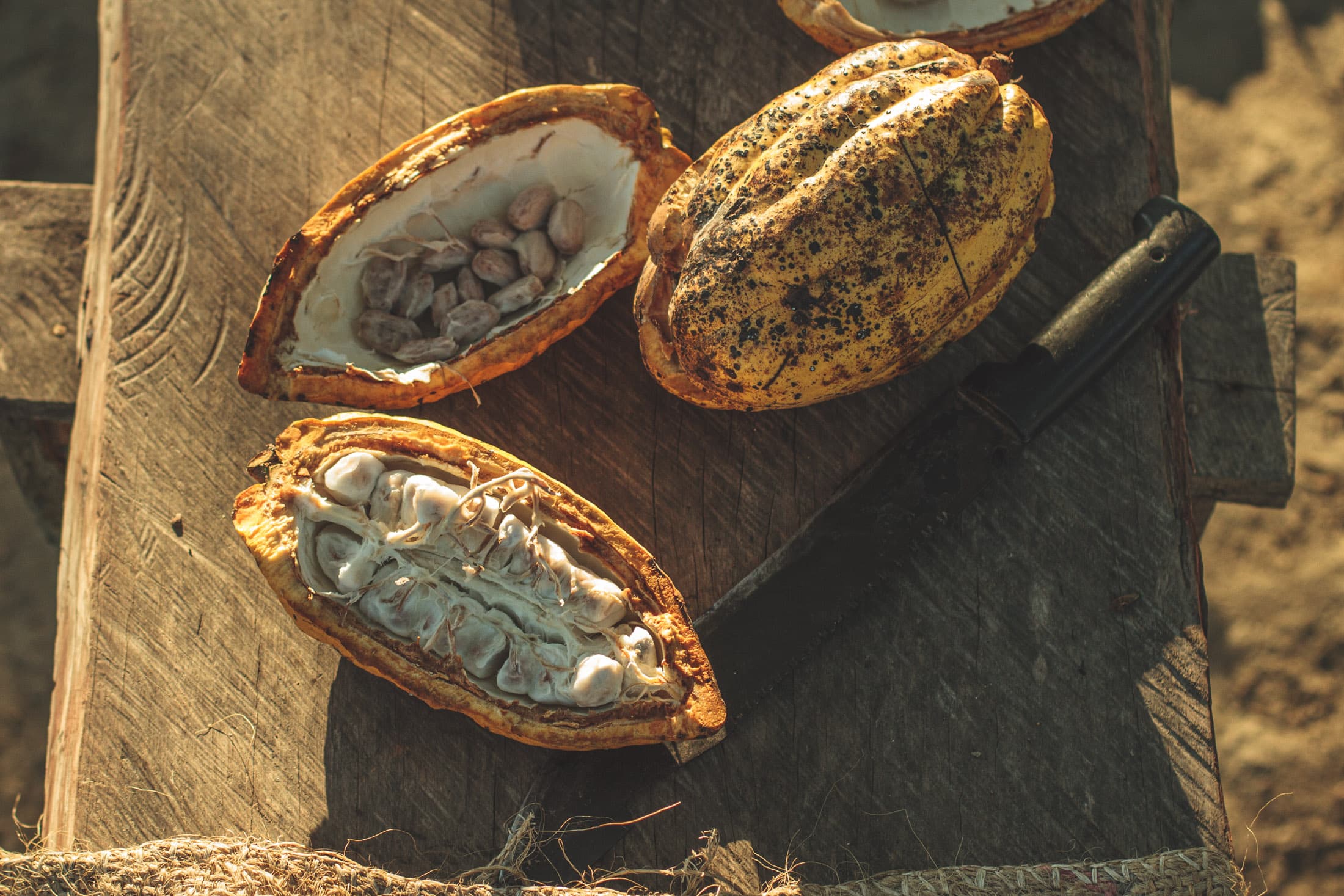 Gastronomía local