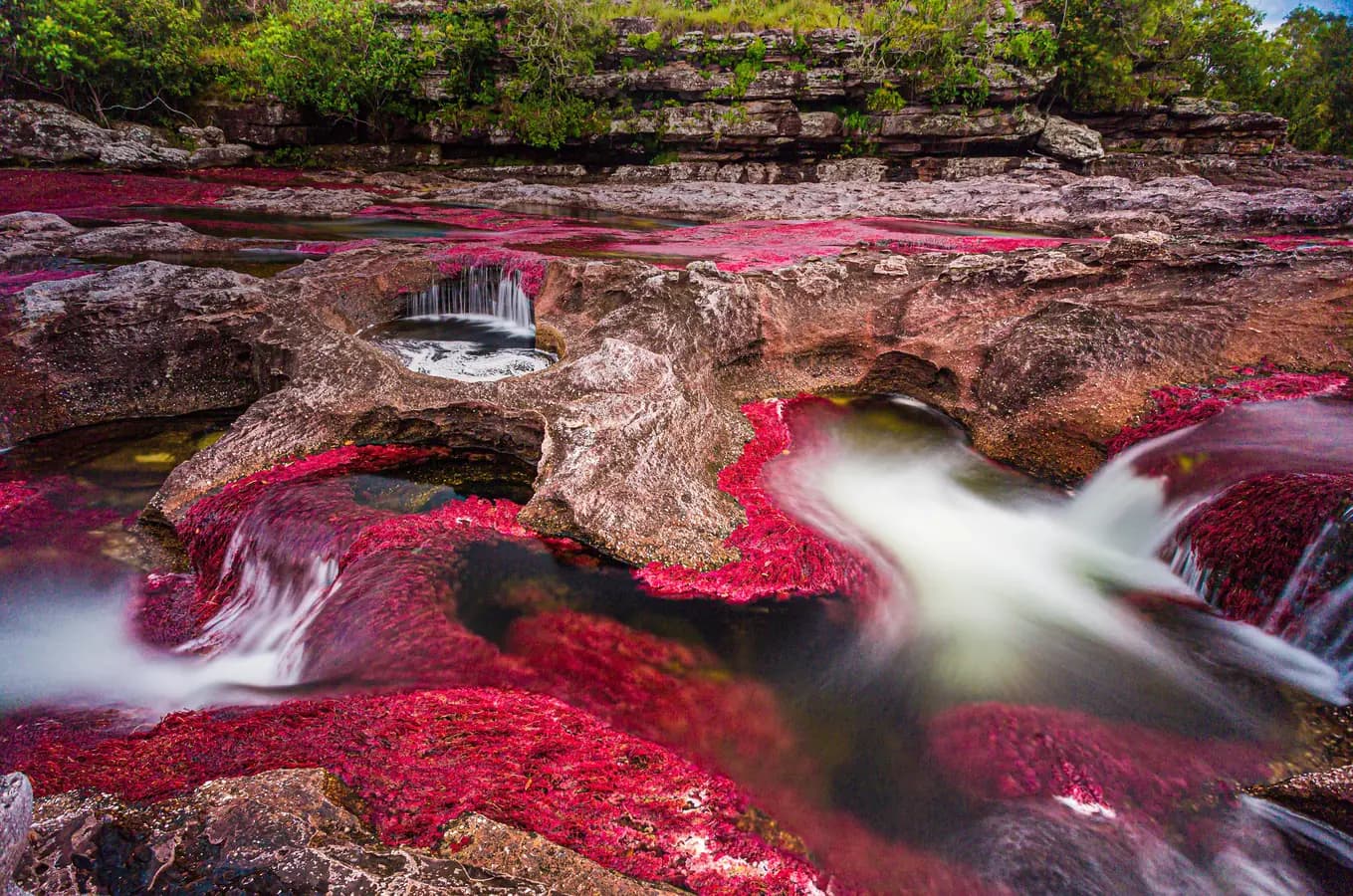 Caño Cristales