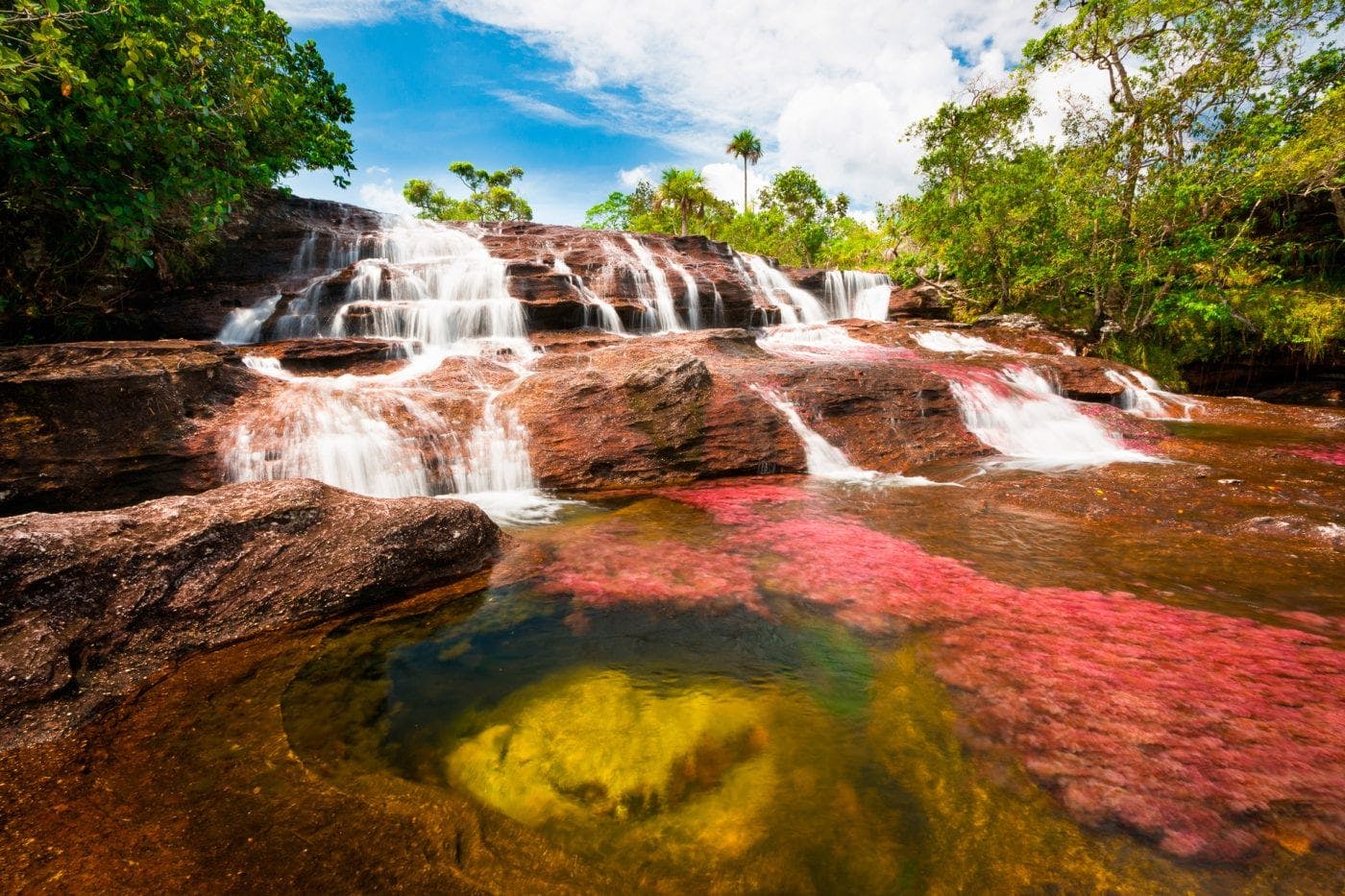 A Guide to Colombia's Caño Cristales