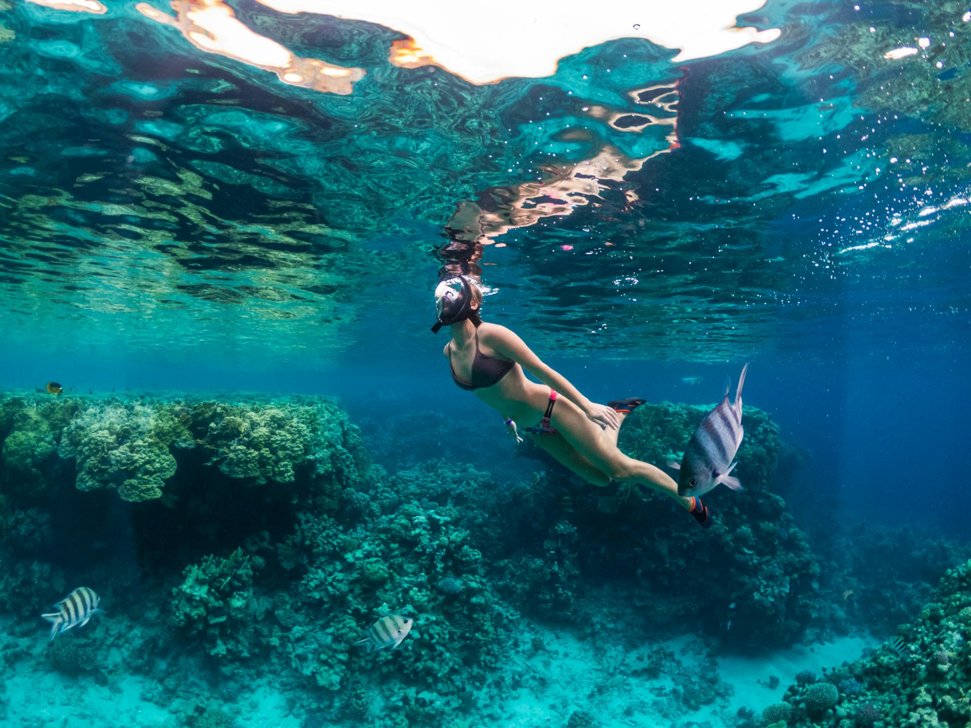 Discover Colombia's Underwater Marvels: The Best Snorkeling Spots Revealed